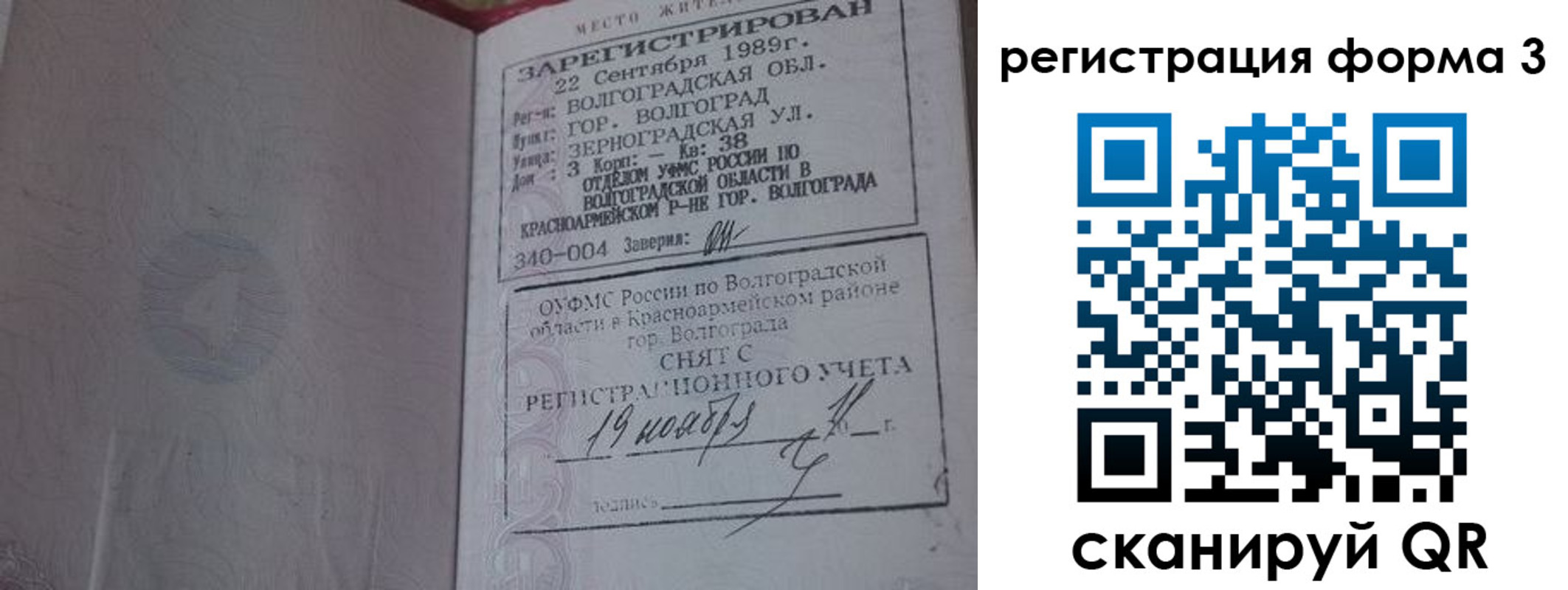 прописка штамп в Луге
